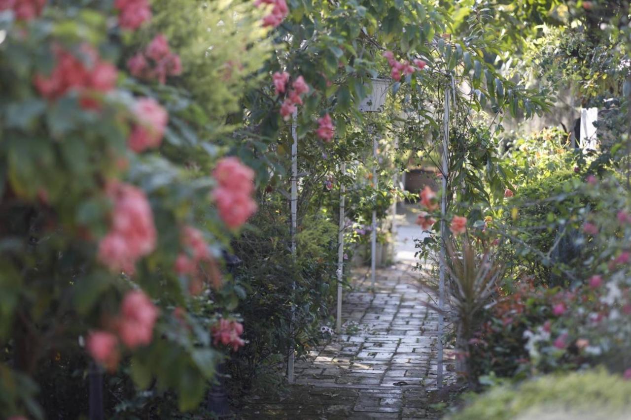 Le Jardin De Maejo Bed & Breakfast Chiang Mai Eksteriør bilde