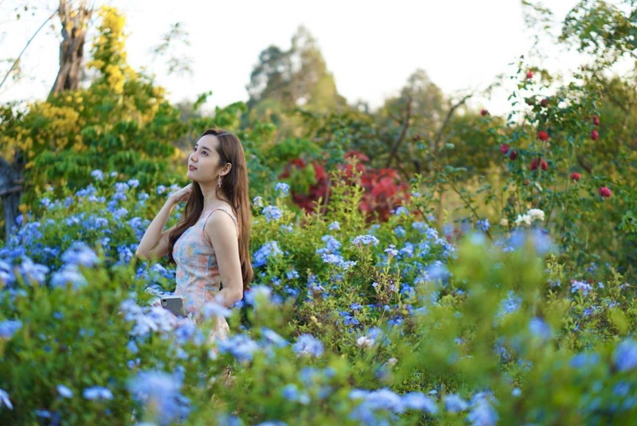 Le Jardin De Maejo Bed & Breakfast Chiang Mai Eksteriør bilde